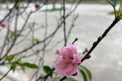 🌸 KHÍ THẾ ĐẦU XUÂN – THẦY VÀ TRÒ THCS XUÂN BẮC SẴN SÀNG BỨT TỐC! 🚀